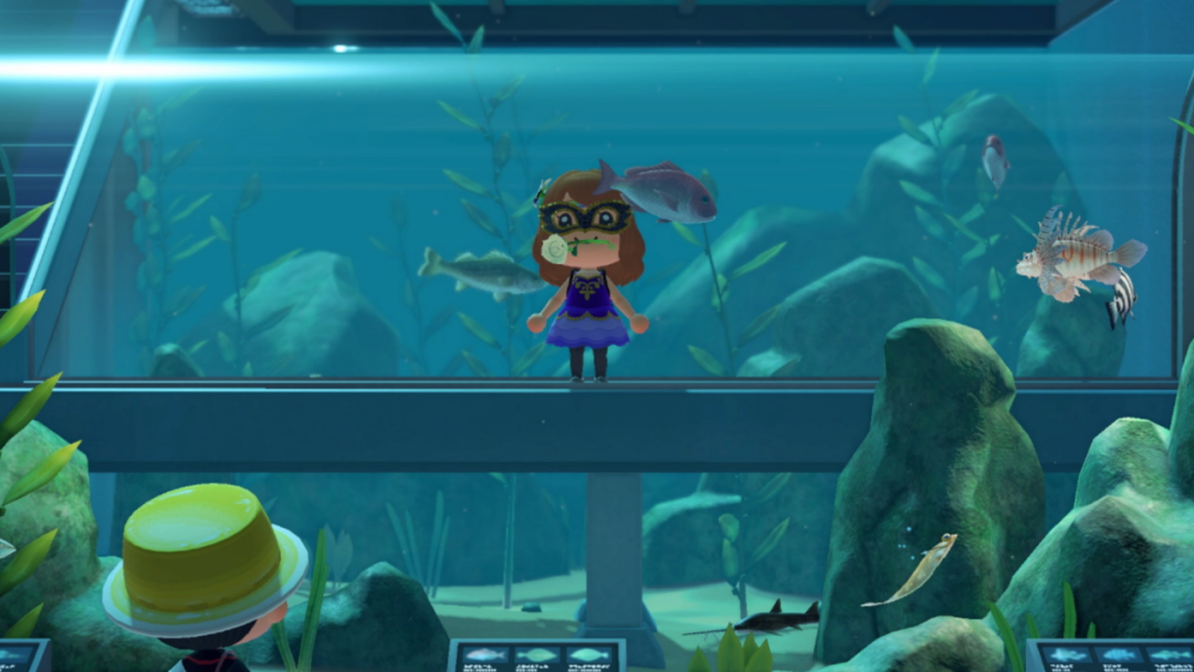 任天堂的《集合啦！动物森友会》基于真实时间的设置，会有哪些特点？