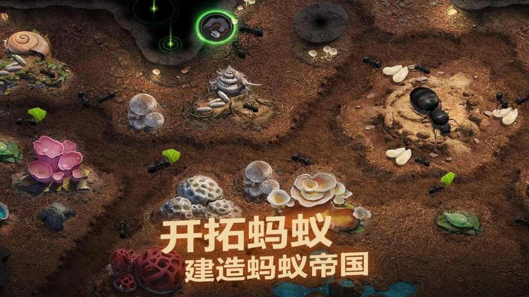 细节决定成败，《小小蚁国》的魅力源于全面真实，良心推荐！