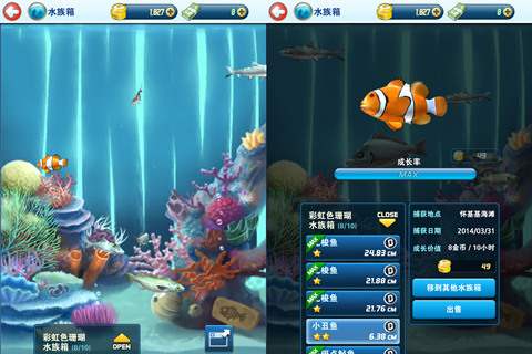 《钓鱼发烧友》