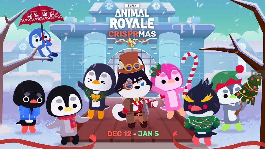 《小动物之星》虽说是吃鸡和打架,但你不能把这些动物当回事!