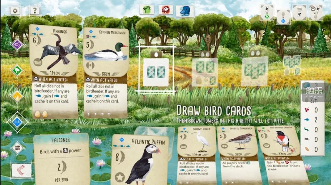 《展翅翱翔》拥有硬核德国策略桌游的所有元素与路径的解决方案