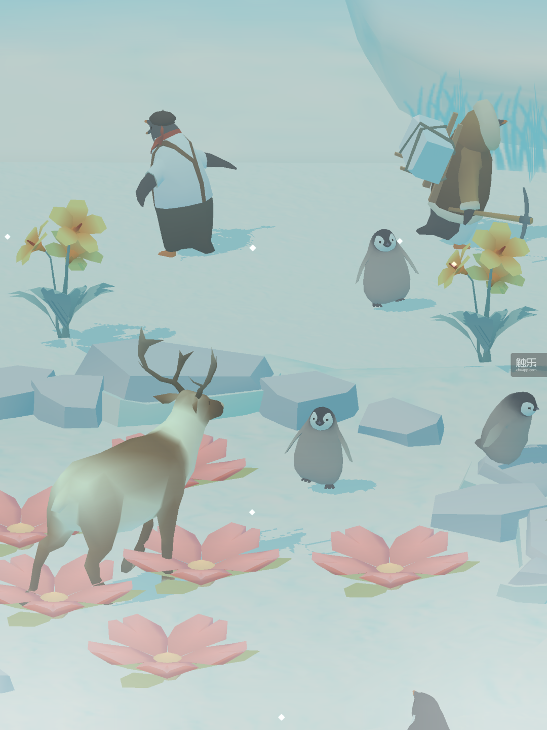 《企鹅岛》无聊的游戏玩法确实在治疗主题上有不错哦的表现