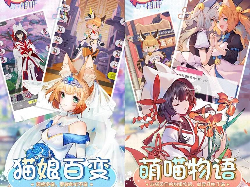 二次元手游《猫灵相册》让你全方位的撸猫
