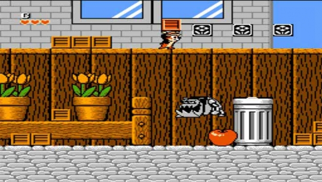 迪士尼「松鼠大战」主角大电影5月20日上线流媒体平台