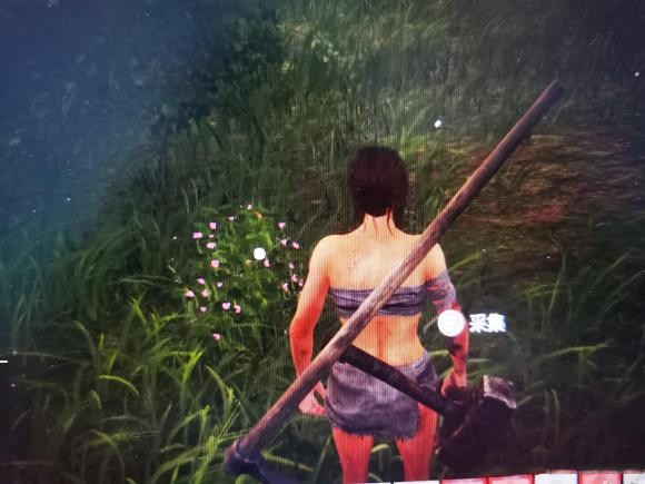 《帝国神话》豌豆种子怎么获取（豌豆种子位置分享）