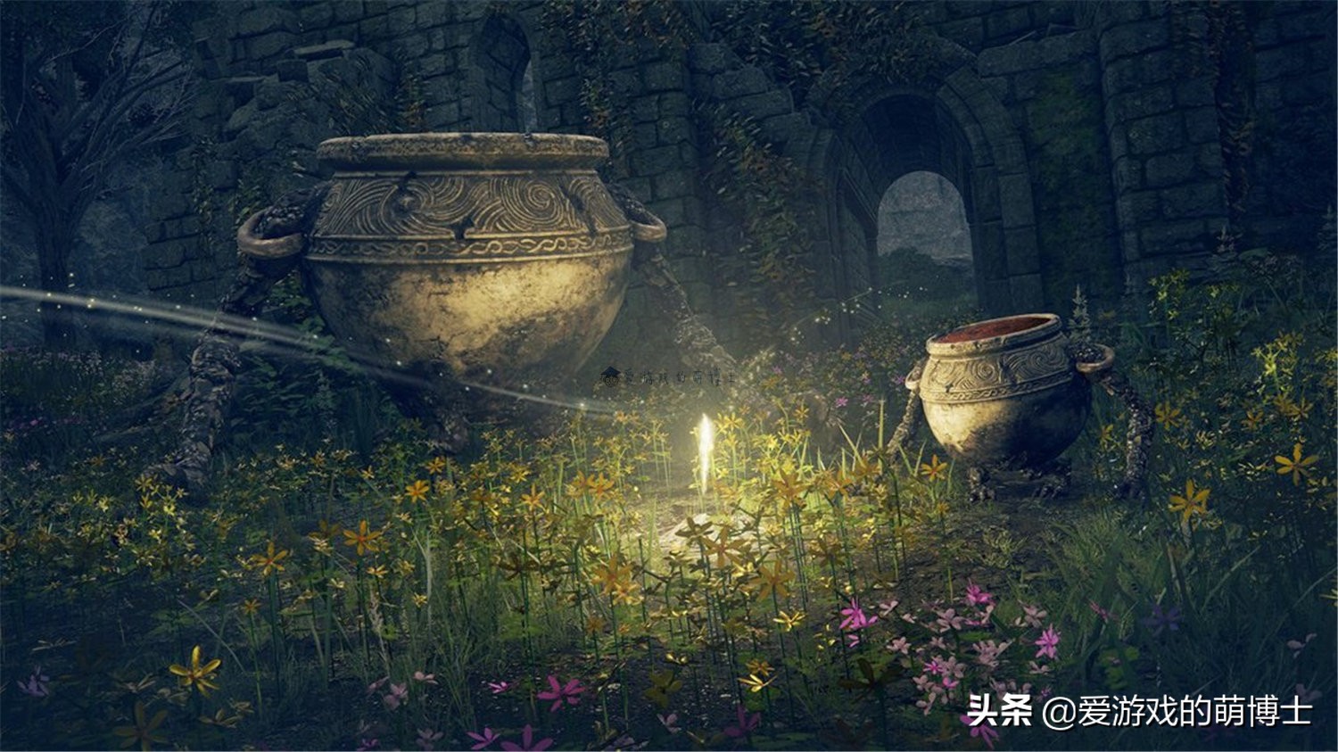 《艾尔登法环》