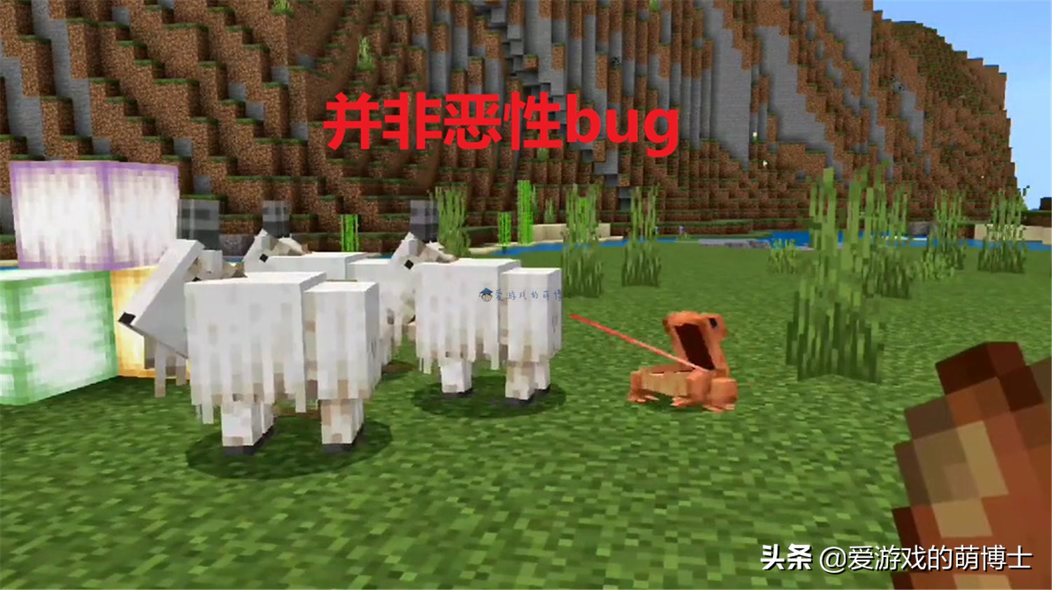 《我的世界》