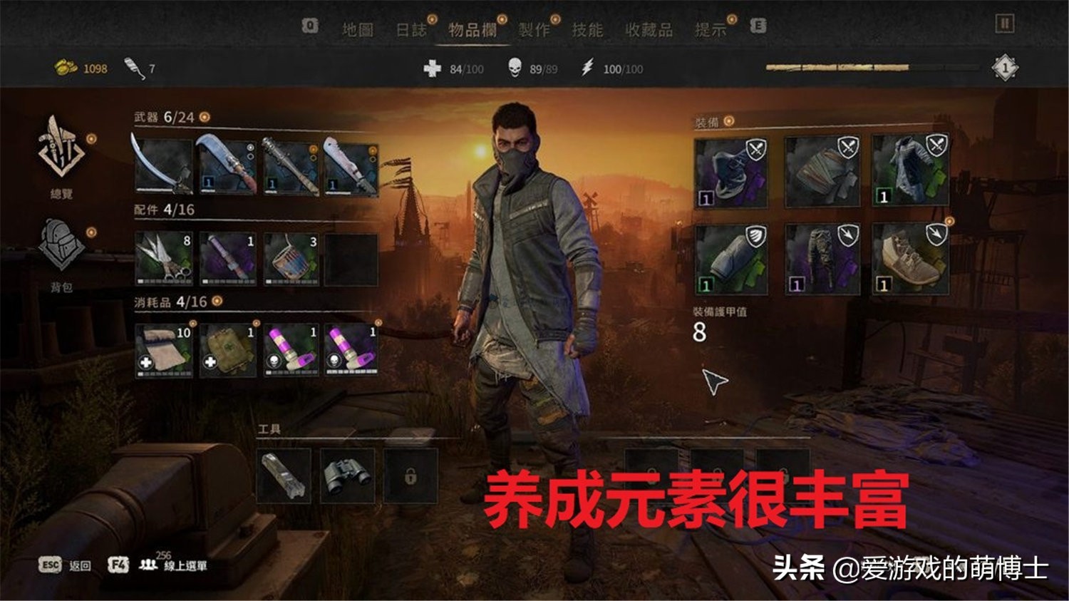 《消逝的光芒2》