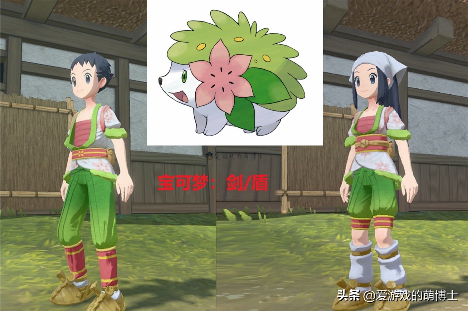 《宝可梦传说：阿尔宙斯》特典攻略