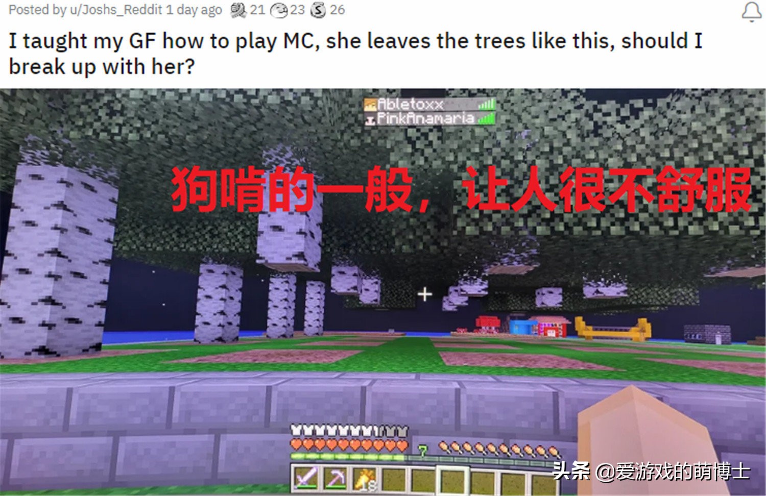 《我的世界》