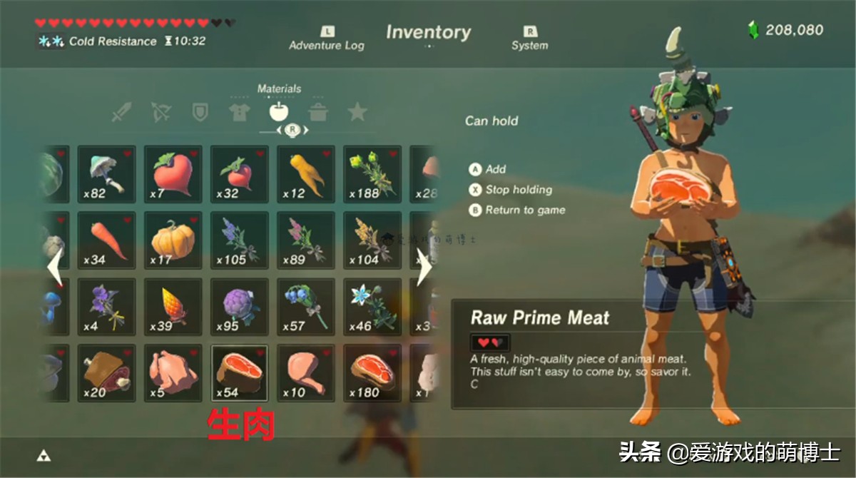 《塞尔达传说：荒野之息》