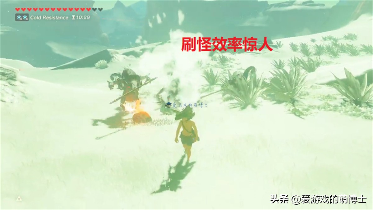 《塞尔达传说：荒野之息》