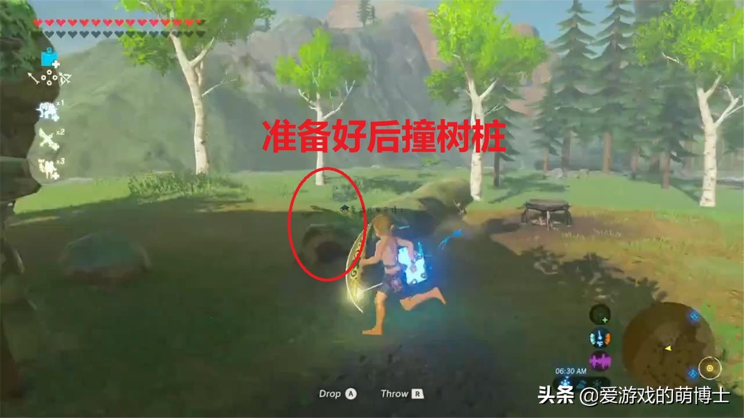 《塞尔达传说：荒野之息》