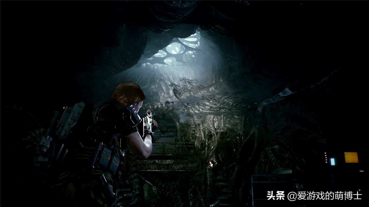 《异形：火力小队》