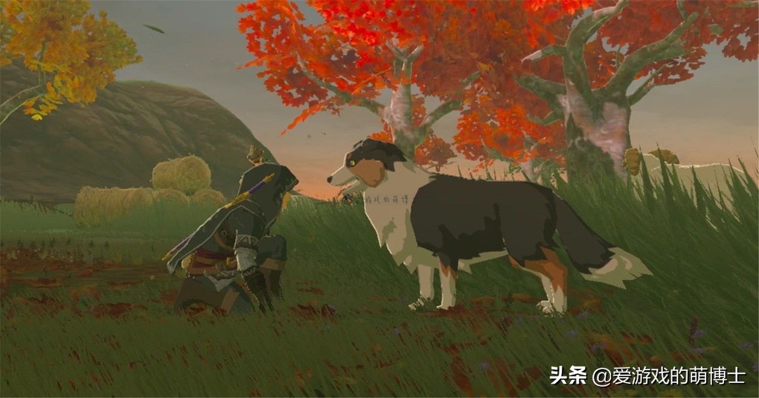 《塞尔达传说：荒野之息》