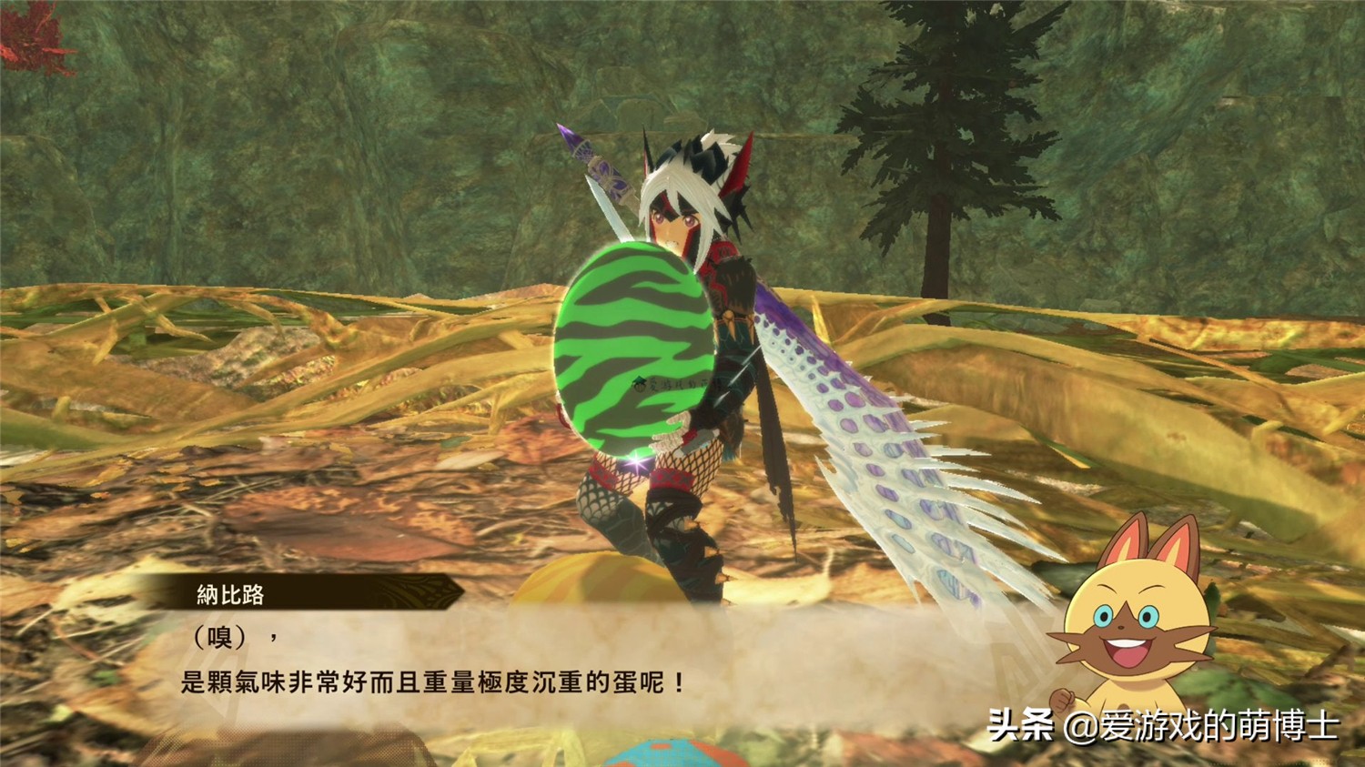 怪物猎人物语2魔物攻略()