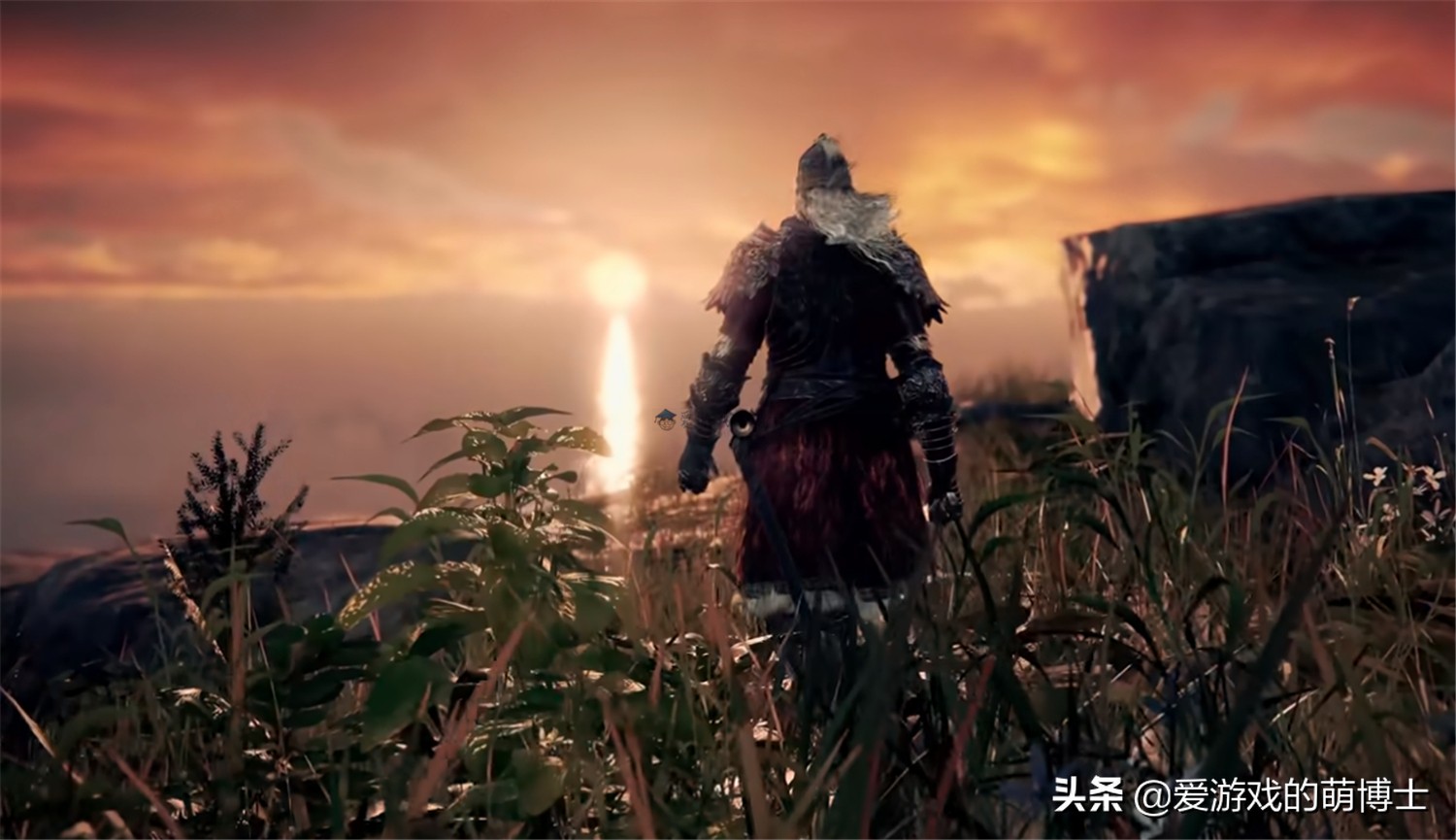 《艾尔登法环》