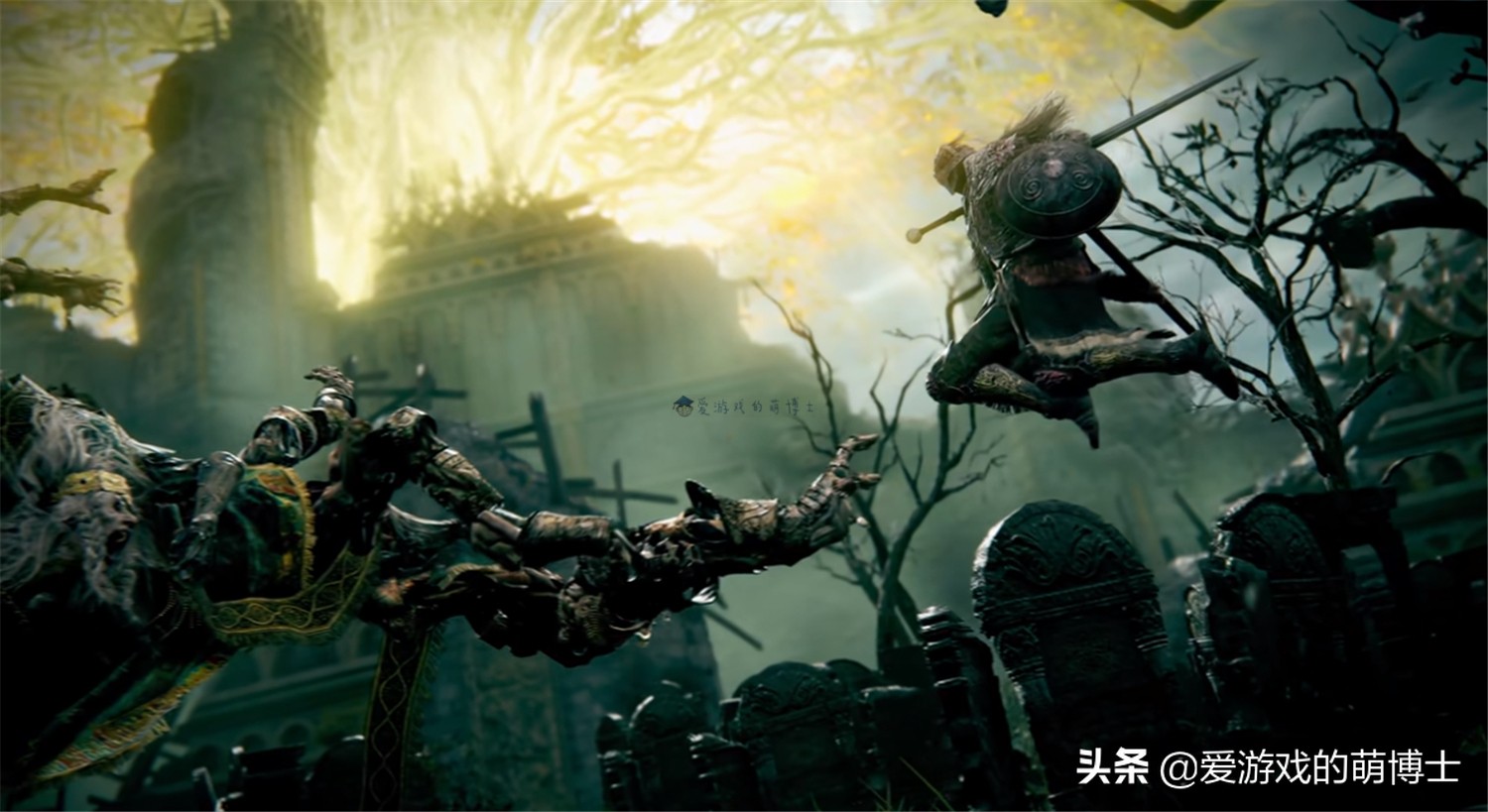 《艾尔登法环》