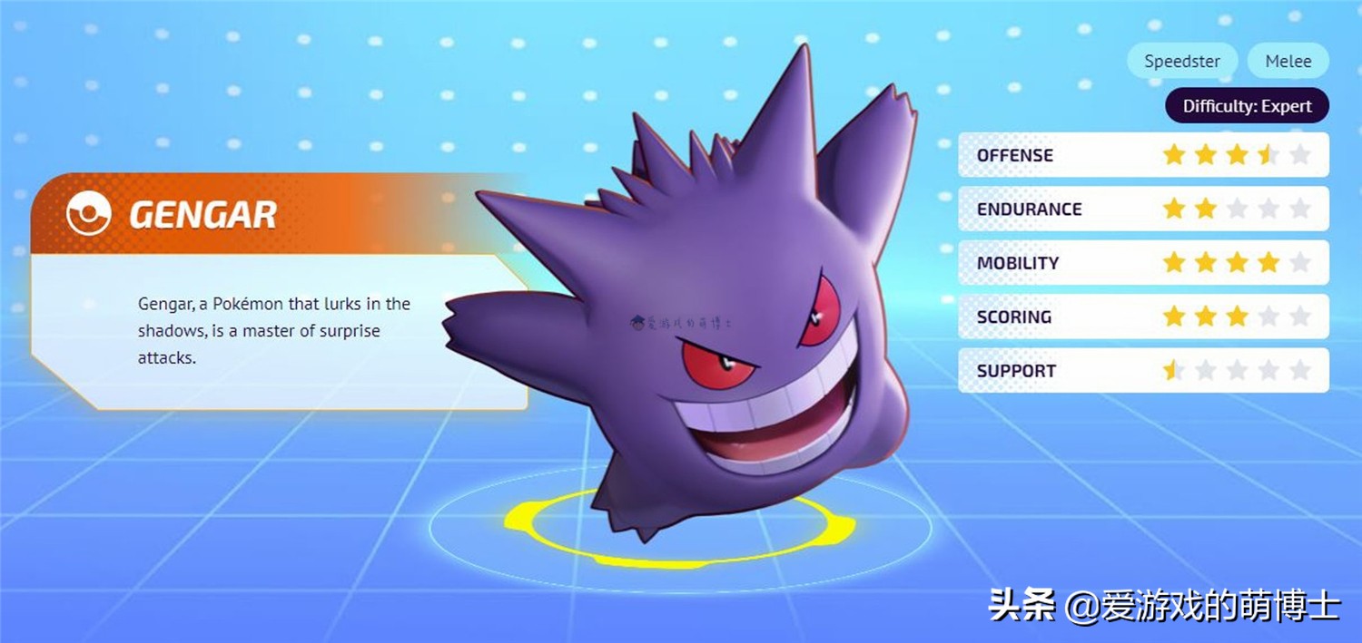 《宝可梦大集结》