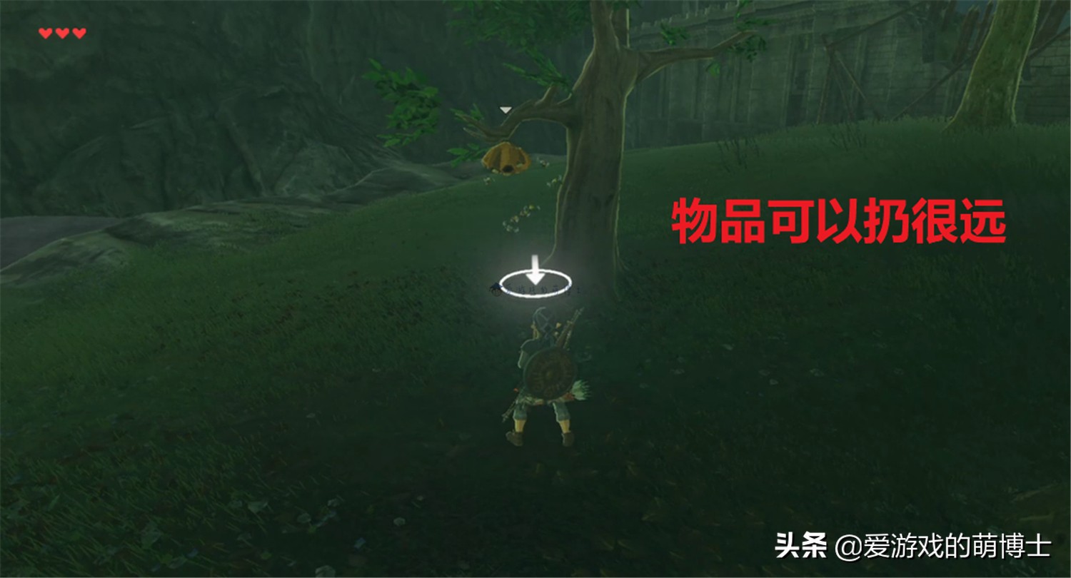 《塞尔达传说：荒野之息》