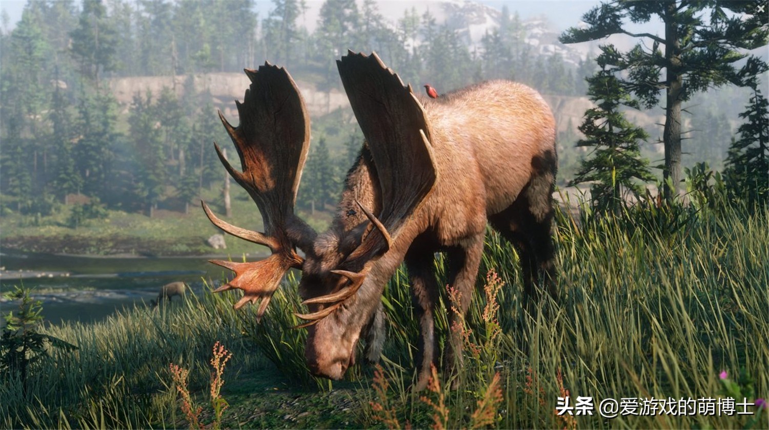 《荒野大镖客2》居然还有生物环境方面的优质内容