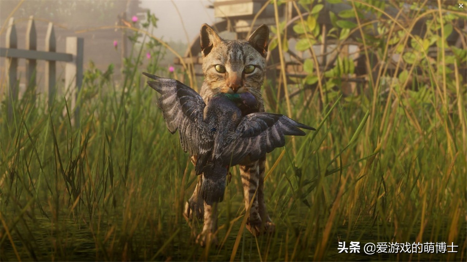 《荒野大镖客2》居然还有生物环境方面的优质内容