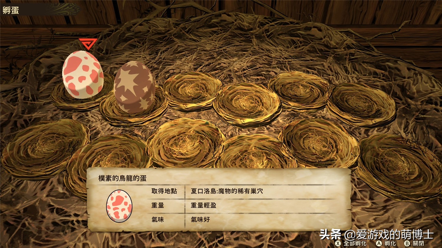 《怪物猎人物语2》