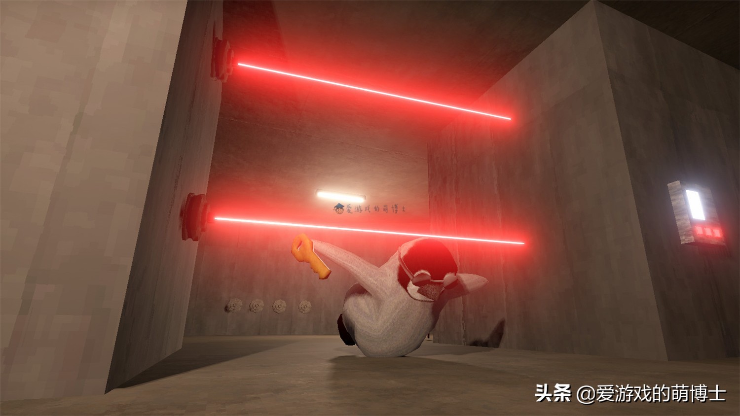 《The Greatest Penguin Heist of All Time》