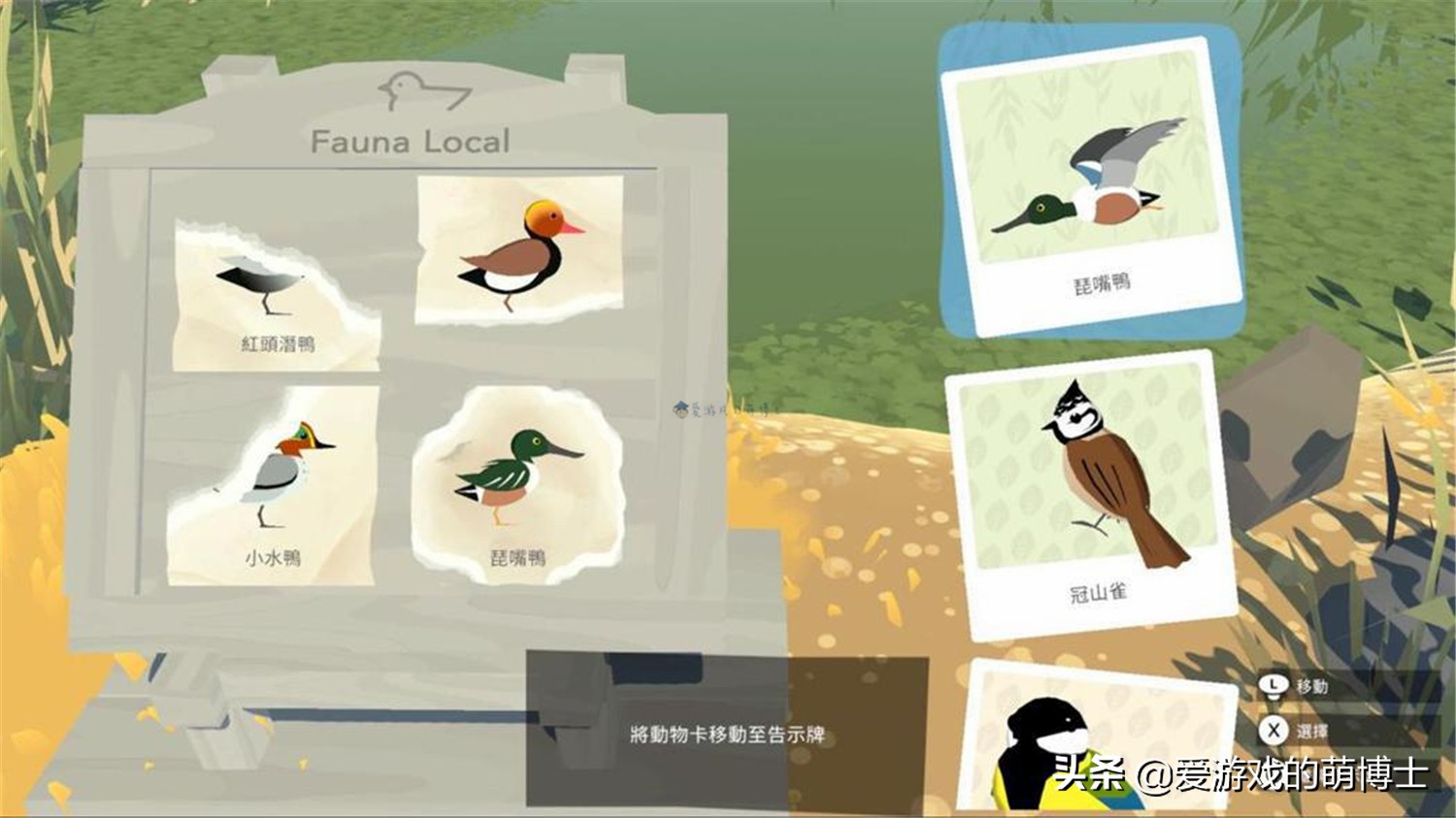 《阿尔芭：野生动物冒险》