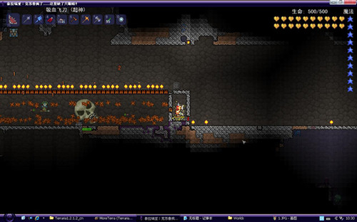 地牢守护者打法（泰拉瑞亚地牢守护者打法攻略）