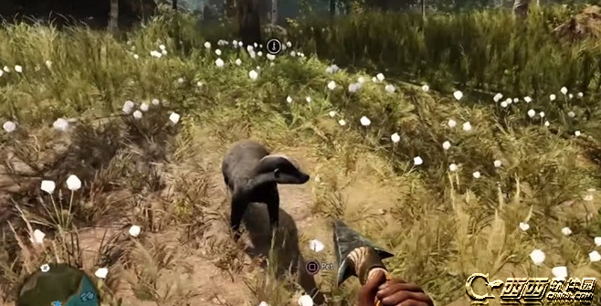孤岛惊魂原始杀戮最强宠物（宠物分析攻略）