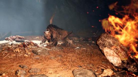 孤岛惊魂原始杀戮最强宠物（宠物分析攻略）