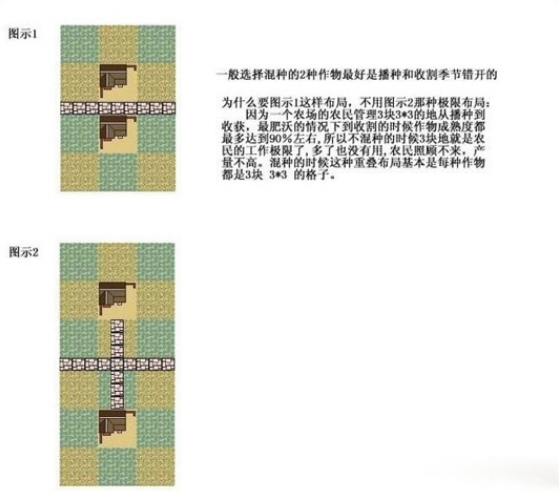 龙之崛起完美稳定布局（龙之崛起六套完美布局分享）