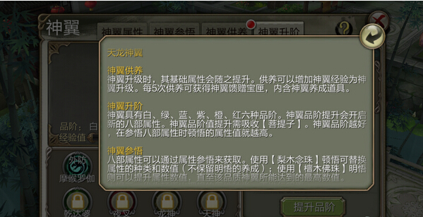 天龙八部3d神翼攻略(天龙八部3d天龙神翼洗练技巧解析)
