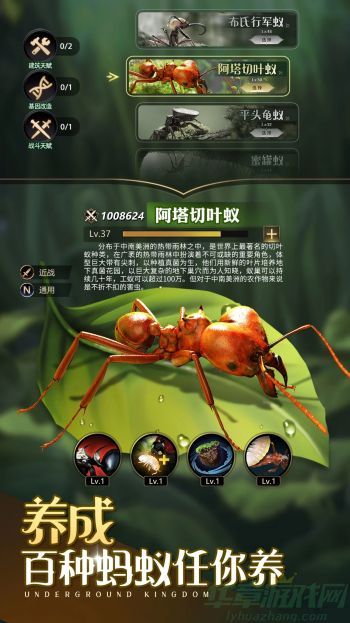 0.jpg小小蚁国十大最值得养的蚂蚁是哪些