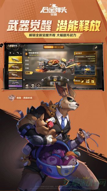 合金弹头觉醒袋鼠武器搭配