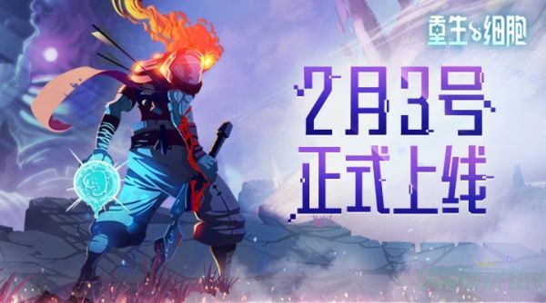  重生细胞最强武器搭配