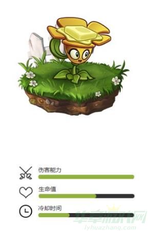 植物大战僵尸2黄油毛茛属性介绍