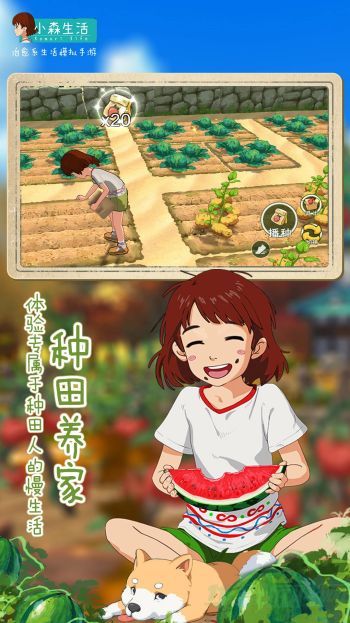  小森生活安卓版