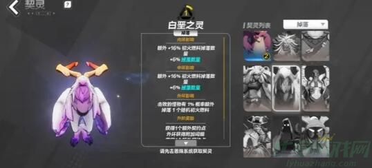 火炬之光无限契灵宠物卡池抽取推荐