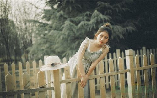 _1803.jpg
