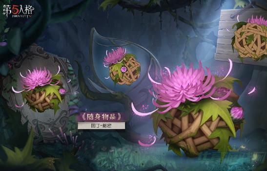 第五人格s30赛季排位珍宝一览