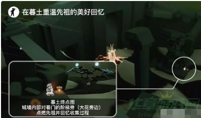 光遇11.2每日任务攻略