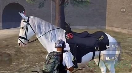 和平精英骑马位置介绍